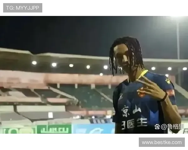 飞踹裁判日火瓦体遭全国禁赛五年